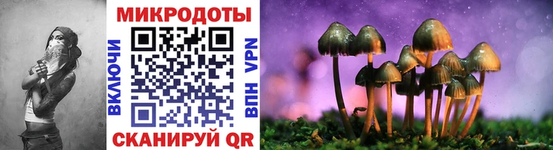 Псилоцибиновые грибы Psilocybe  Кубинка 